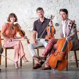 The Australian String Quartet's BIG GIG Celebrates 40 Years With Free Concerts