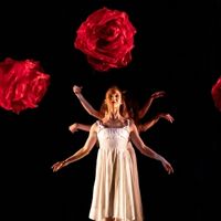 Review: MOMIX's ALICE at Ottawa's National Arts Centre Photo