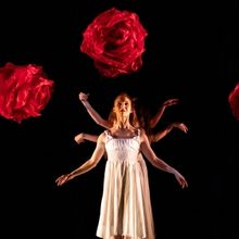 Review: MOMIX's ALICE at Ottawa's National Arts Centre