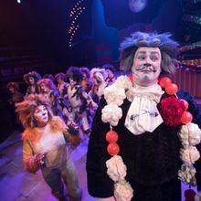 Review: CATS at Seacoast Repertory Theatre
