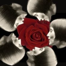 Ivywild Teams Up with Artist and Animator Tee Ken Ng on Video for New Single, “Star