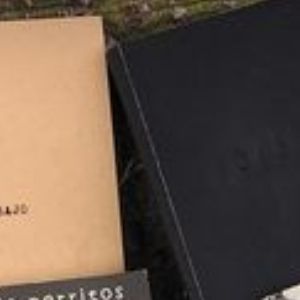 El Museo Nacional De La Estampa Recibe Dzitts & Hihanox Ediciones. Una Propuesta…