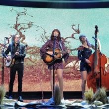 VIDEO: Molly Tuttle & Golden Highway Perform 'Crooked Tree' on KIMMEL