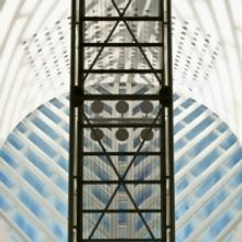 Visual Arts Center of New Jersey Opens Virtual Exhibition FOCUS FORWARD