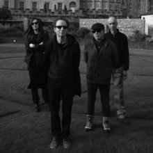 Wire Shares Details of New Album 'Mind Hive'