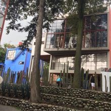 Conmemoran El 70 Aniversario Luctuoso De Frida Kahlo Con El Taller Árbol De La Esper