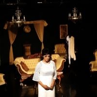 BWW Review: THE LAST NIGHT OF JOSEPHINE BAKER from Vincent Victoria Presents