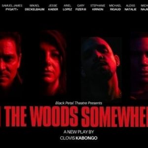 Black Petal Theatre to Present IN THE WOODS SOMEWHERE At The Chain Theater