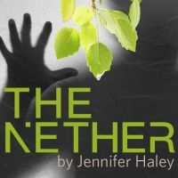 Jennifer Haley's Play THE NETHER Kicks off The Dragon Theatre's 20th Season