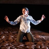 Goodman Theatre Stages DAUGHTER OF A CUBAN REVOLUTIONARY