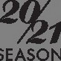Palm Beach Opera Announces Additions To Board Of Directors