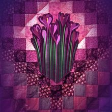 THE COLOR PURPLE to Begin This Weekend at Goodman Theatre