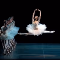 American Ballet Theatre Announces Casting and Programming for ABT's March 2020…