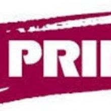 PEERLESS, ROZ AND RAY and More Announced in Primary Stages 2020/21 Season