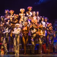 BWW Review: Broadway Across Canada's Touring Production of CATS Proves Its Enduring…