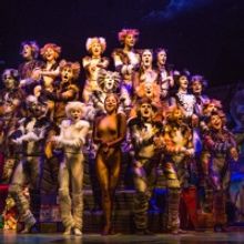 BWW Review: Broadway Across Canada's Touring Production of CATS Proves Its Enduring A