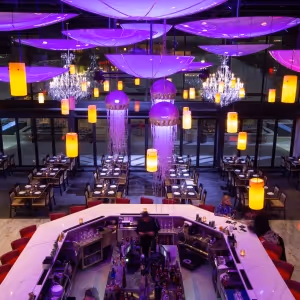 VENTANAS RESTAURANT AND LOUNGE for “A Night in Tokyo” on 3/15