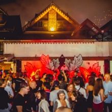 Synergy NYE Festival Announces 'Nature vs. The Machine'