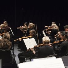 Sarasota Orchestra Receives Grant from Barancik Foundation, Bolstering Community Musi