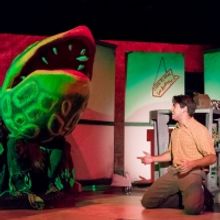 BWW Review: LITTLE SHOP OF HORRORS at TEXARTS