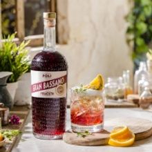 Sip Italy with Fine Choices - APERITIVO and DIGESTIVO Along with Recipes to Enjoy