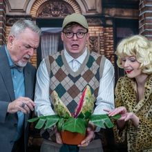 LITTLE SHOP OF HORRORS Announced At The Little Theatre of New Smyrna Beach