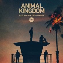 TNT Renews Hit Series ANIMAL KINGDOM for a Sixth and Final Season