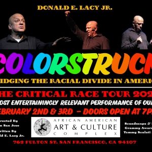 Donald Lacy's COLORSTRUCK Kicks Off Black History Month at the African American Art…