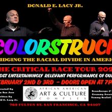 Donald Lacy's COLORSTRUCK Kicks Off Black History Month at the African American Art &