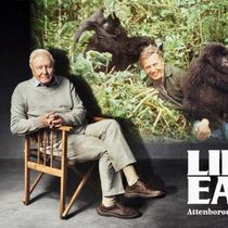 New PBS Special to Explore David Attenborough’s LIFE ON EARTH Series