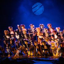 Cast Set For CATS The Musical in South Africa