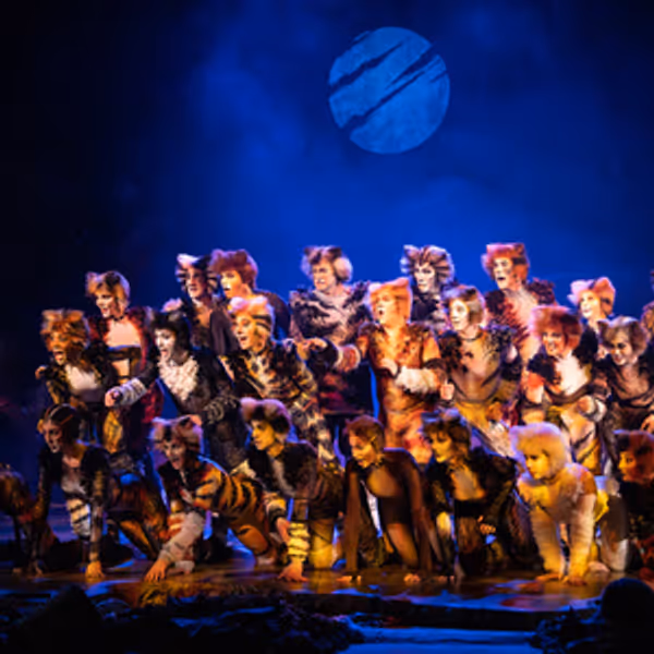 Cast Set For CATS The Musical in South Africa Photo