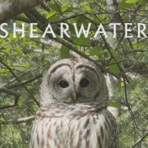 Photos: SHEARWATER Releases New Single LIGHT GOVERNANCE on Bandcamp