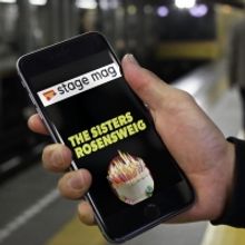 Study Up on the Cast of THE SISTERS ROSENSWEIG with BroadwayWorld's Stage Mag