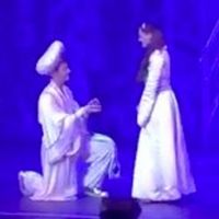VIDEO: Star of ALADDIN in the UK Proposes to Co-Star On Stage