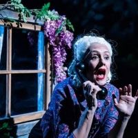 Bryony Kimmings Brings Critically Acclaimed Show I'M A PHOENIX, BITCH To HOME…