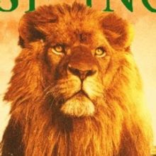 The String Cheese Incident Announces the Addition of Maddy O'Neal to Jamaica Incident