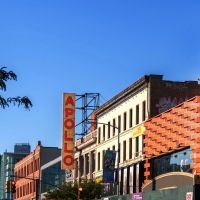 The Apollo Names New Theater Space After Longtime Leader Jonelle Procope