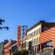 The Apollo Names New Theater Space After Longtime Leader Jonelle Procope