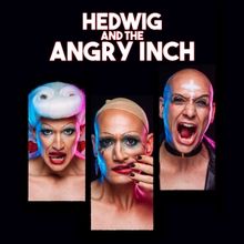 Review: HEDWIG AND THE ANGRY INCH at DAS VINDOBONA