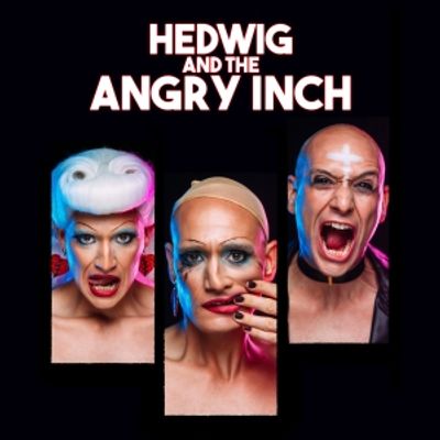 Review: HEDWIG AND THE ANGRY INCH at DAS VINDOBONA