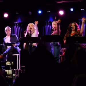 THE REAL HOUSEWIVES OF NEW YORK: THE PARODY MUSICAL is Coming to The Green Room 42…