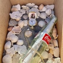 BWW Blog: I Sent Tom Hanks a Letter in a Bottle and Here's What Happened