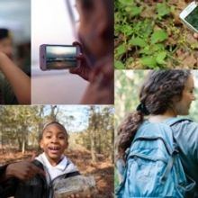 Apple And Redford Center Launch Free Filmmaking Challenge For Environmental Justice