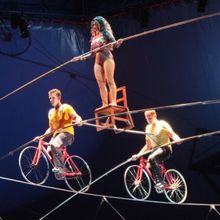 Nik Wallenda & Circus Arts Conservatory Present A BRAVE NEW WONDERLAND, November 18- 
