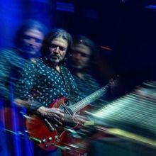 Video: Dom Mariani Shares Music Video for Recent Single 'Jangleland'