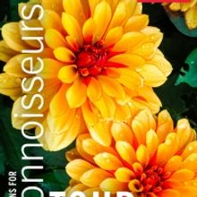 Tickets Available Now For ABT GARDENS FOR CONNOISEURS Tour