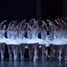 BWW Review: PACIFIC NORTHWEST BALLET'S “SWAN LAKE” RETURNS TO THE STAGE at McCaw