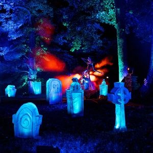 Feature: DISNEY “TIM BURTON’S THE NIGHTMARE BEFORE CHRISTMAS” at LADY BIRD JOHNSON WILDFLOWER CENTER