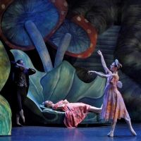 New York Theatre Ballet's SLEEPING BEAUTY To Take the Stage, March 11 And 12